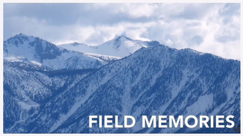 Field Memories